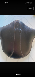 Sottopancia equipe pararamponi 