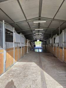 Propriété équestre complète avec installations haut de gamme