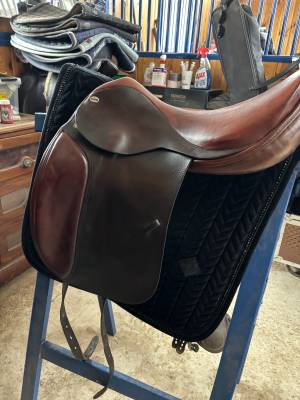 Sella da dressage  cobra  17.5