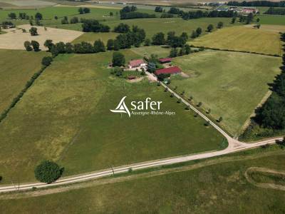 Maison rénovée avec 6 ha - secteur lapalisse