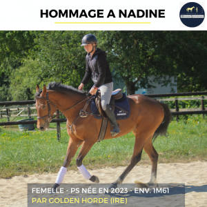 Hommage a nadine - ps - 3 ans