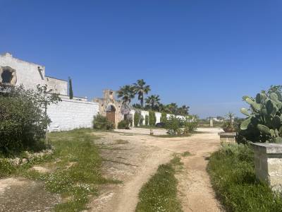 Propriet&agrave; equestre Noleggio Taranto