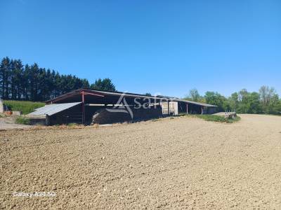 Bâtiment d'exploitation sur environ 4ha