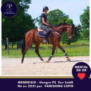 5 ans env 1m68 magnifique et top mental