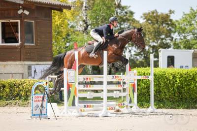 Jument cso - 5 ans