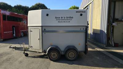 Trailer westfalia  2 cavalli 2002 occasione