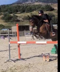 Pony welsh part bred wpb 