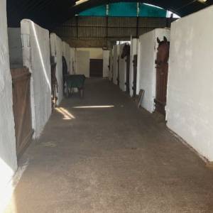 Pupilaje de caballos 