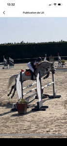 Poney D 