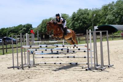 Castrone pfs pony francese da sella in vendita 2018 baio ,  lennicha de florys