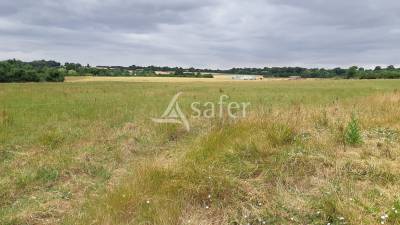 Azienda ovina in vendita deux-sèvres