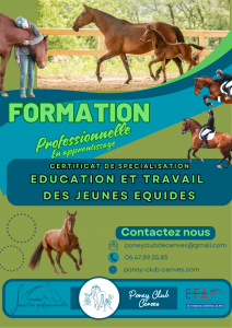 Formation CS &Eacute;ducation et Travail du jeune &eacute;quid&eacute;