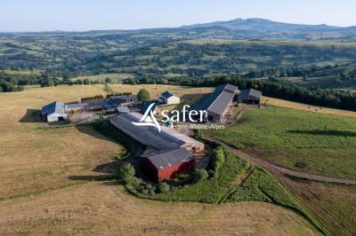 Azienda lattaia in vendita cantal