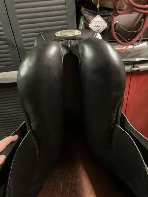 Selle stubben 