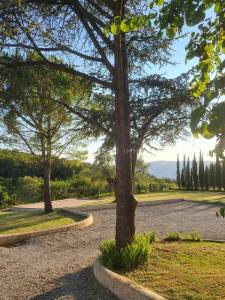 Equestrian property  drôme