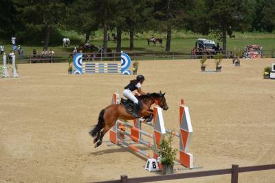 Pony sportivo 