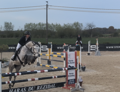 Magnifique cheval de 7 ans a vendre