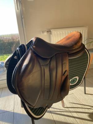 Boeckelo forestier - 18