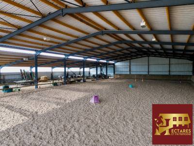Ruiterclub koop loire-atlantique