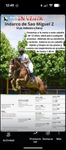 Vendo caballo 