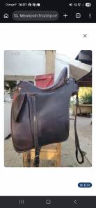 Selle zaldi drim lusitanus
