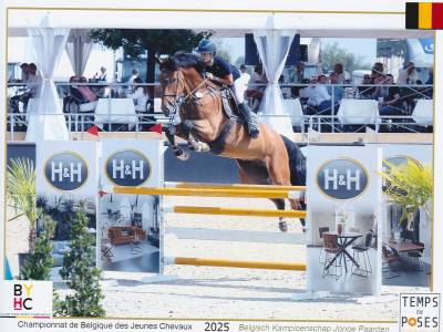 Sbs - hongre de 7 ans – 179 cm