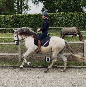 Magnifique entier pre 4 ans 