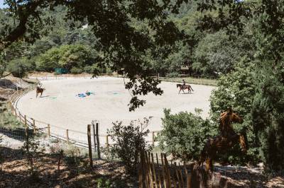 Bella dimora equestre in vendita bouches-du-rhône
