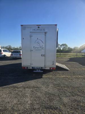 Furgoneta para caballos Renault Master 2014 De segunda mano