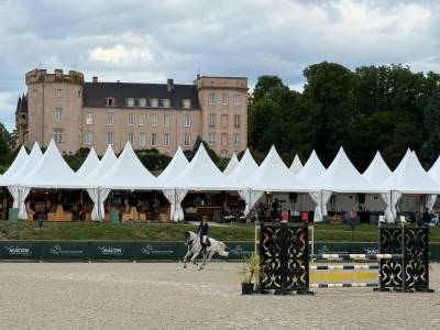 Castrone pfs pony francese da sella in vendita 2016 grigio