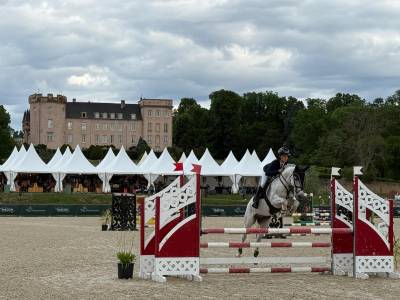 Ruin Franse rijpony PFS Te koop 2016 Schimmel
