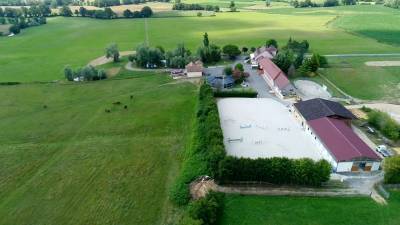 Stud farm  saône-et-loire