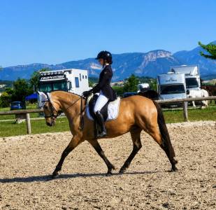 Ponette - 8 ans - dressage / idéale enfant - france