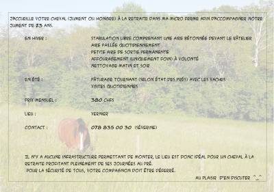 Pension en stabulation libre
