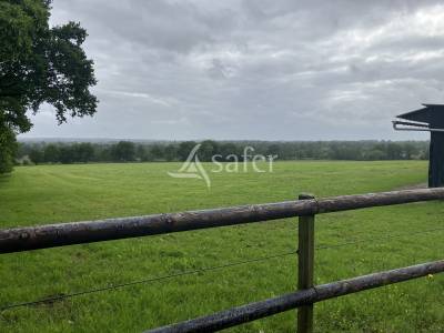 Propiedad ecuestre en venta mayenne