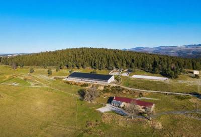 Paarden accommodatie koop ardèche