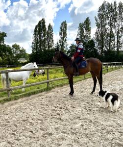 Top jument loisirs-balade-competition