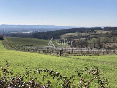 25ha de terres avec lac d'irrigation dont 5ha d'amandiers