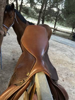 Sella mista   17.5