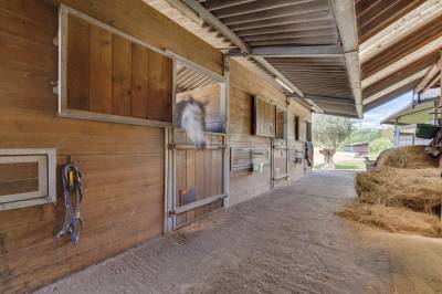 A vendre propriété équestre  avec habitation