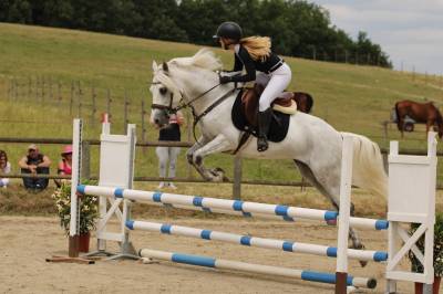 Ruin Connemara Te koop 2015 Schimmel ,  IMPERIAL DU BLIN
