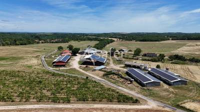 Exploitation élevage ovin et viticulture aoc cahors sur 83 ha