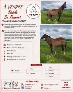 Franches montagnes