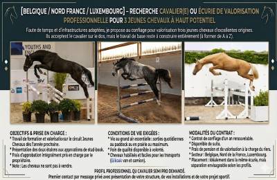  ? valorisation pro – 3 jeunes chevaux cycles 2027 