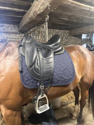 Selle devoucoux makila harmonie