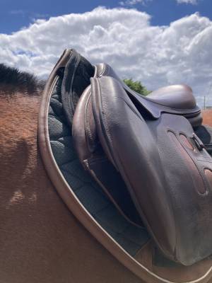 Selle gbs cso 