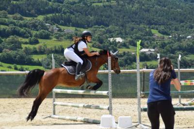 Mare French Saddle Pony For loan 2016 Bay