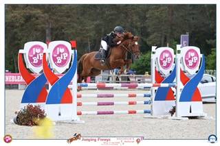 Ruin franse rijpony pfs te koop 2019 vos ,  mon nantano de florys