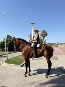 Se vende caballo p.r.e 