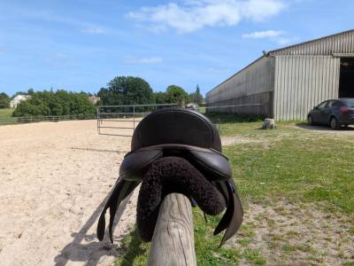 Selle wintec 500 cair hart mixte 17,5